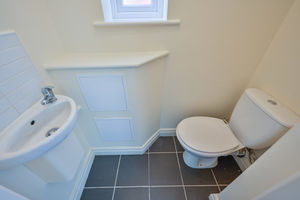 Photo 12- click for photo gallery